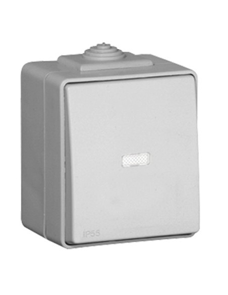 BOTÃO BASCULANTE LUMINOSO DE 250V~ CINZENTO