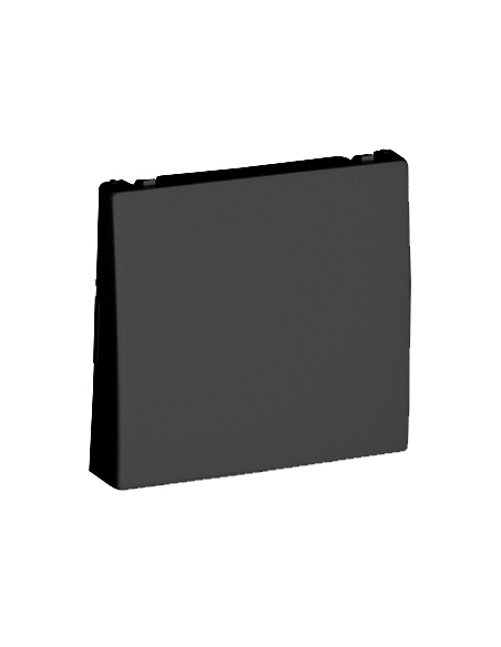 CENTRO PARA ROSETA GRAFITE