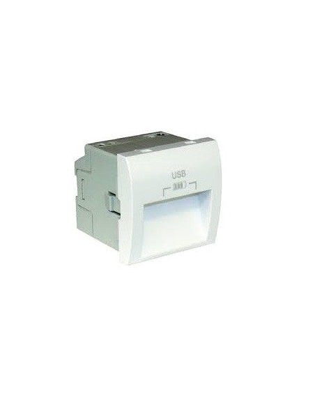 CARREG DUPLO USB SAÍDAS 20° TIPO A - 2 MÓD BR